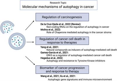 Editorial: Molecular Mechanisms of Autophagy in Cancer